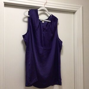 Womens Coldwater Creek Blue Patterned Pleat Front Sleeveless Blouse